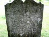 image of grave number 46501